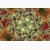 fractal poster