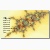 fractal card