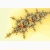 fractal poster