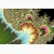 fractal poster