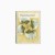 fractal fuji_notebook