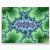 fractal postcard