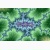 fractal poster