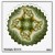 fractal walls360_walldecal