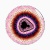 fractal sticker
