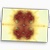 fractal card