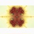 fractal poster