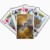 fractal bicycle_playingcards
