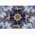 fractal poster