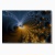fractal poster