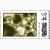 fractal postage