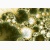 fractal poster