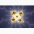 fractal poster