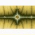 fractal poster