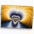 fractal zazzle_card
