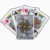fractal bicycle_playingcards
