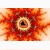 fractal poster