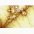 fractal poster