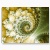 fractal postcard