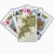 fractal bicycle_playingcards