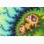 fractal poster
