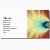 fractal zazzle_profilecard