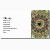 fractal card